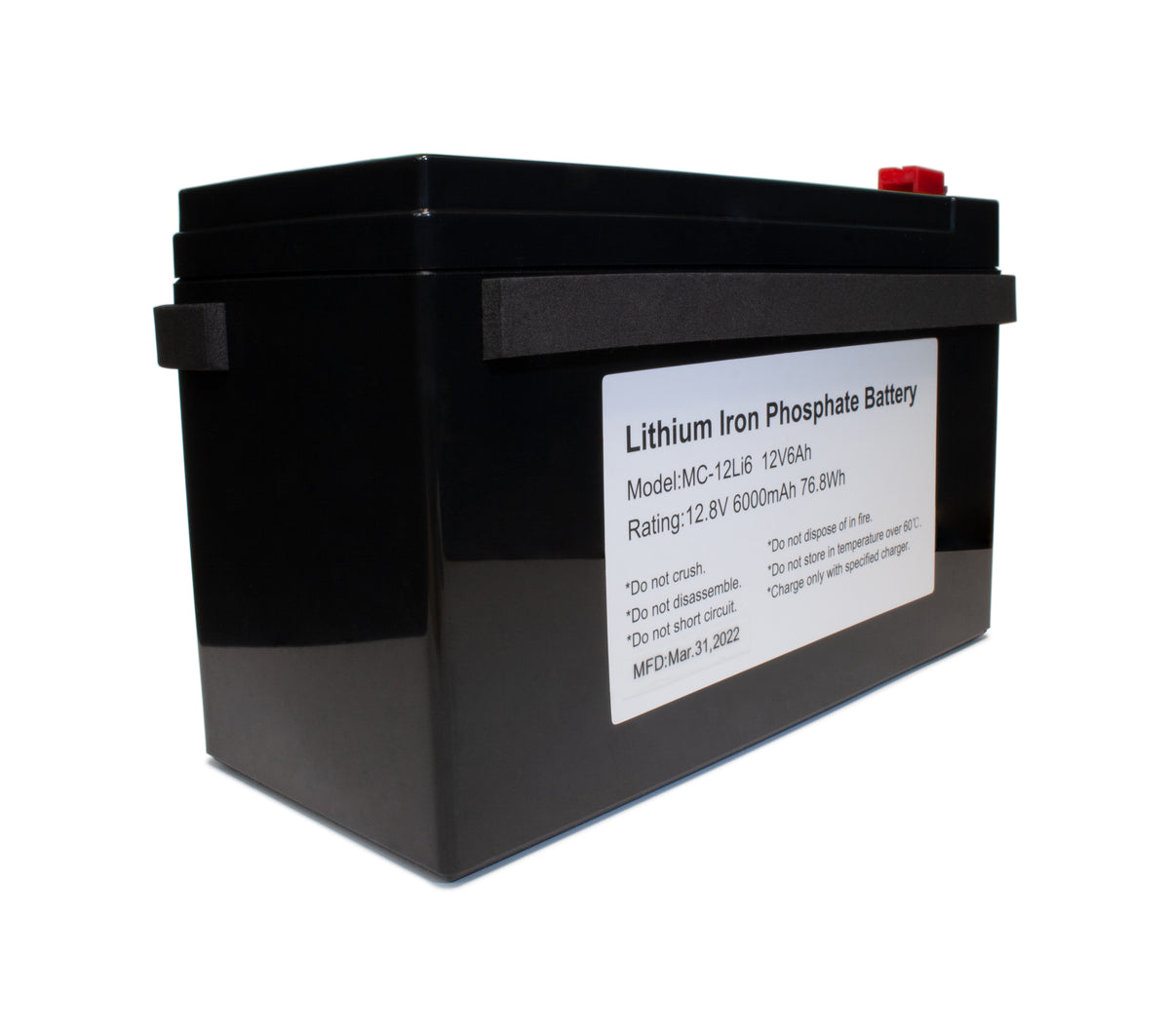 Party Speaker Lithium Battery ECOXGEAR